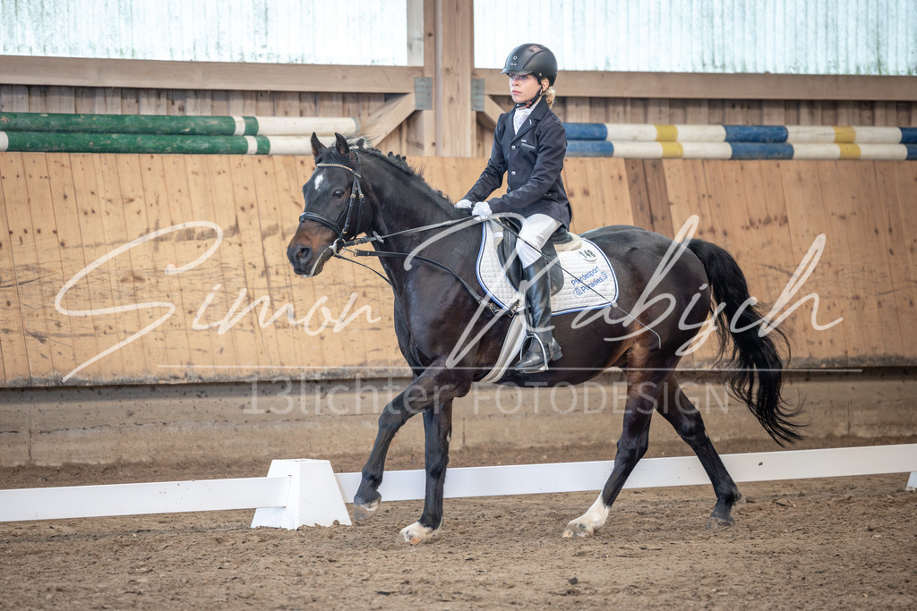 20251011-_3LI8051 | Tierfotografie Pferde, Hunde, Katzen, Haustiere.
Turnierfotografie Reitturniere, Reiten, Springreiten, Dressur in Hanau, dem Main-Kinzig-Kreis und dem Rhein-Main- Gebiet um Frankfurt