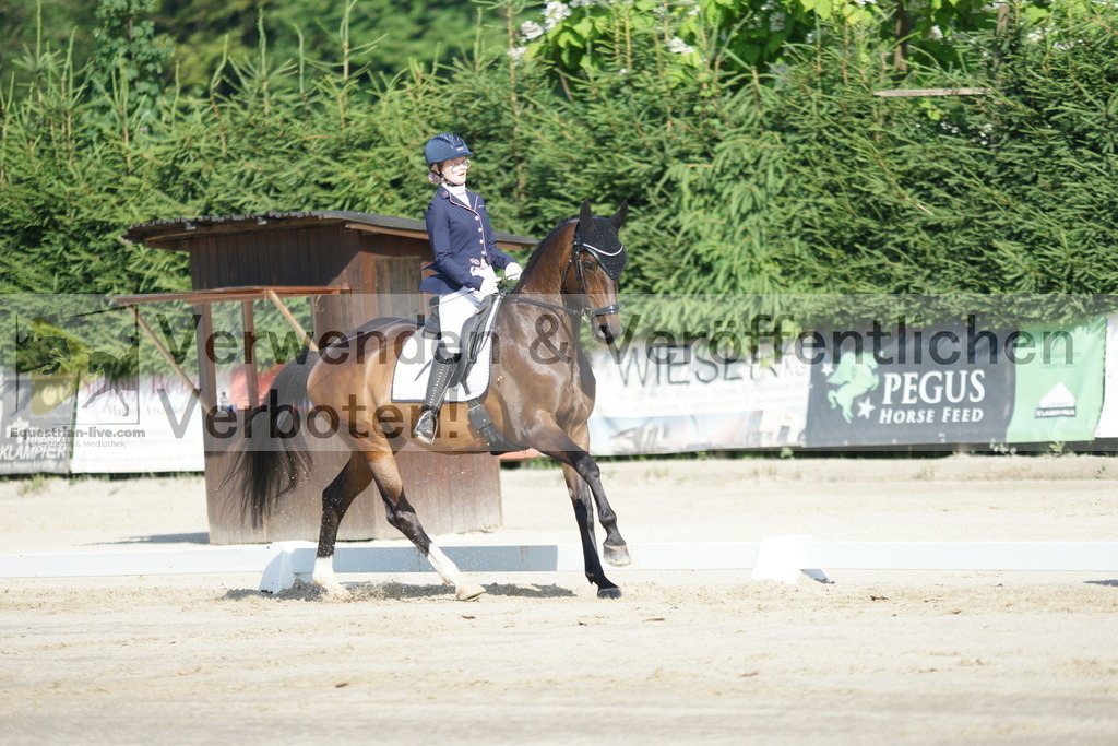 DSC04434 | equestrian-live-com