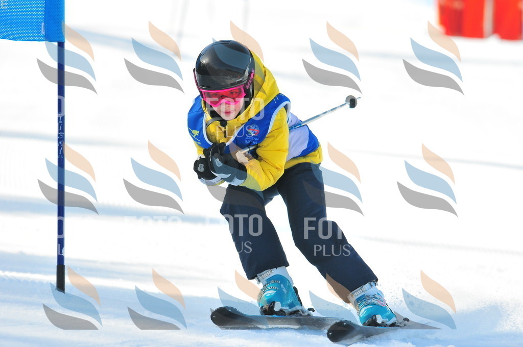 B8797 | holidayphoto