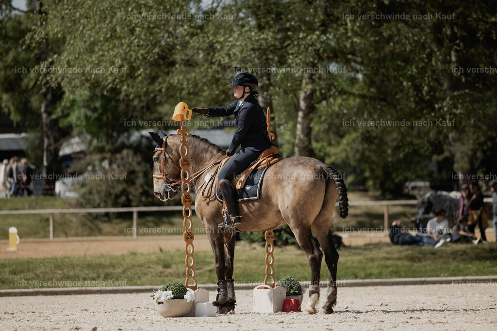 WE_ST_Stoib_329_PI2025_1399 | 330Pferd International München 2025