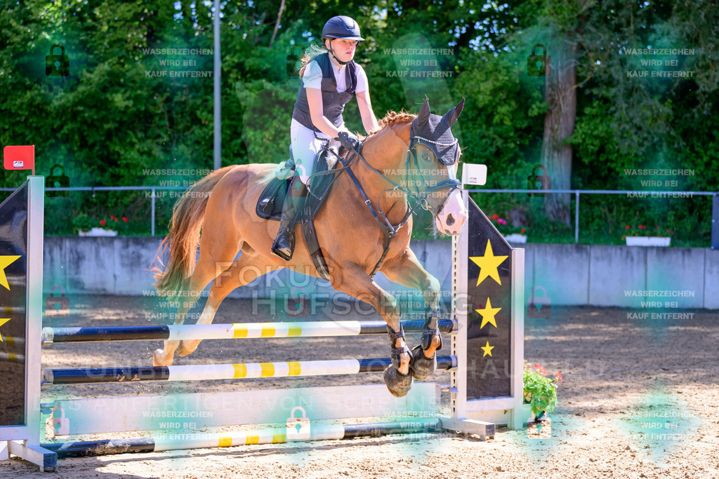 29082026-Giesenbach-Prfg10-0104 | Fokus Hufschlag Fotografie - Realisiert mit Pictrs.com