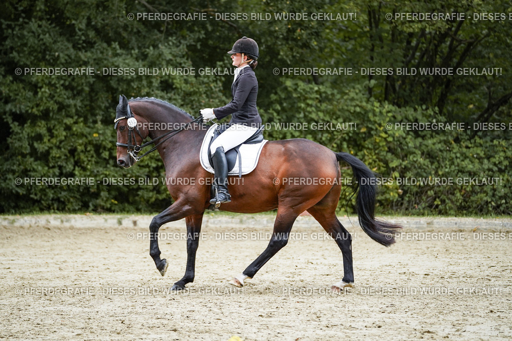 DSC00588 | Pferdegrafie