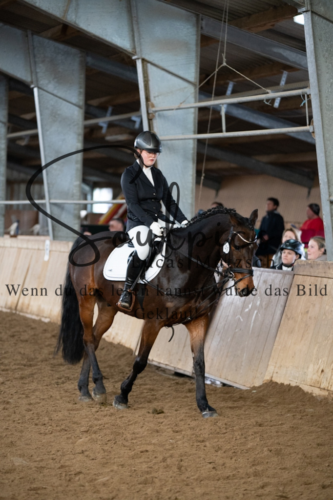 A7V04919 | Pferdefotograf