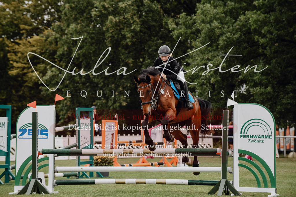 DSC_3739 | Pferde- und Turnierfotografie in Westsachsen. Pferdeportraits, Auftragszeichnungen und intuitive Kunst.