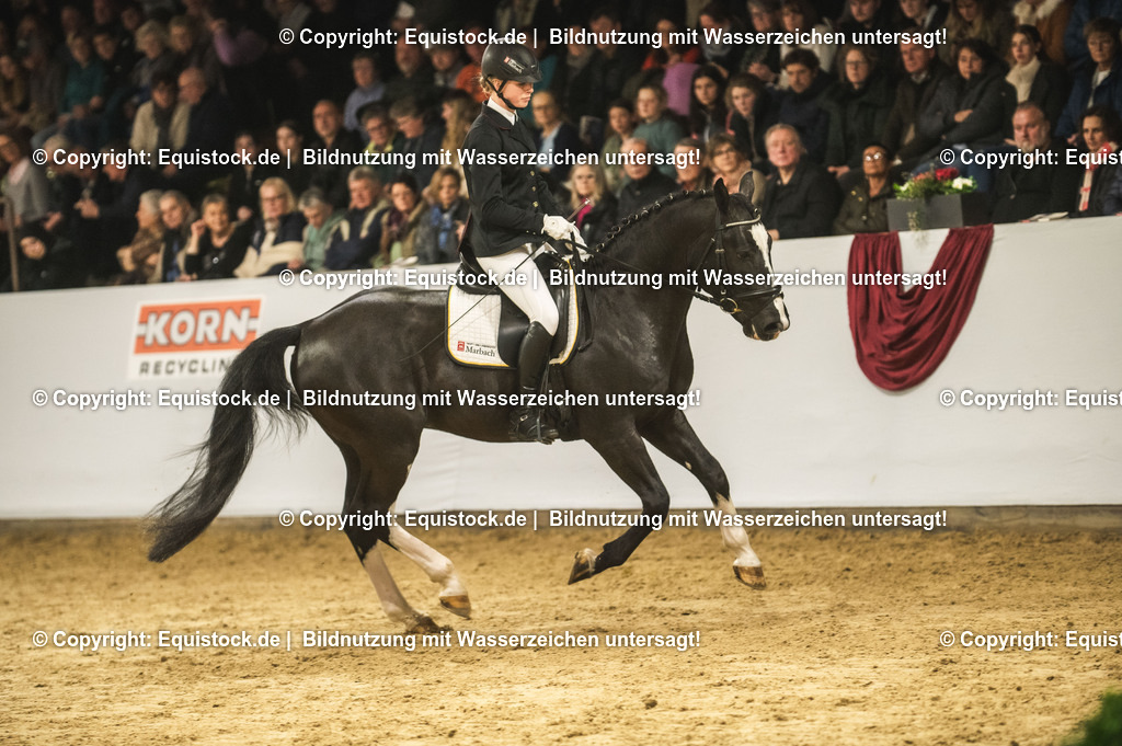 20240302_Hengstvorstellung_Marbach_TOMsPiC_0694-2 | equistock