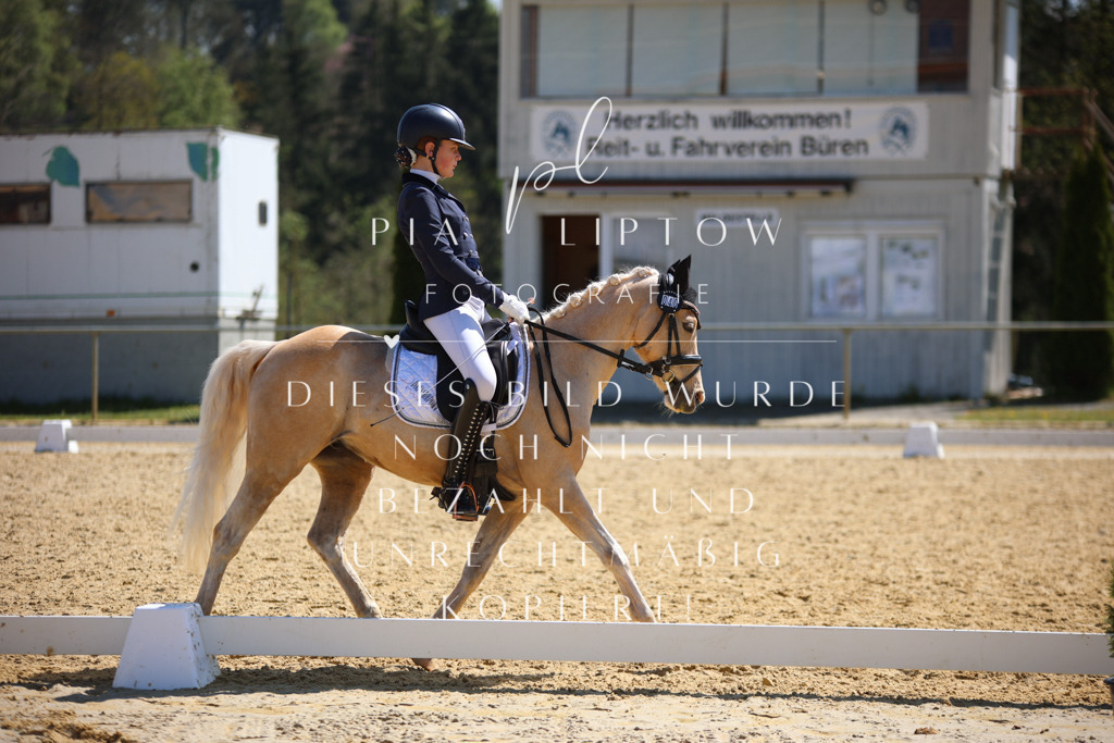 IMGT2339 | pl-fotografie