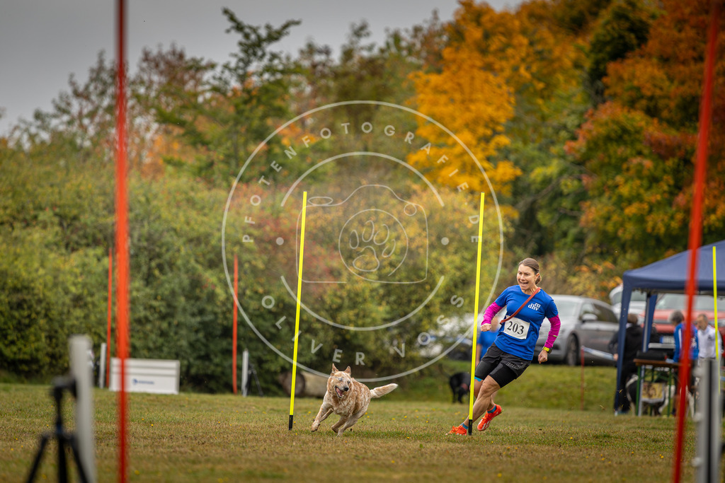 Pfotenfotografie_DV3A2004 | Hundefotografie, Tierfotograf, Pfotenfotografie, Fotoshooting Hund, Hunde Portrait, Hundesport, Hundeportraits, Heideshooting, Hunde, Sportfotograf, Hundefotograf, Turnierhundsport, THS,  - Realisiert mit Pictrs.com