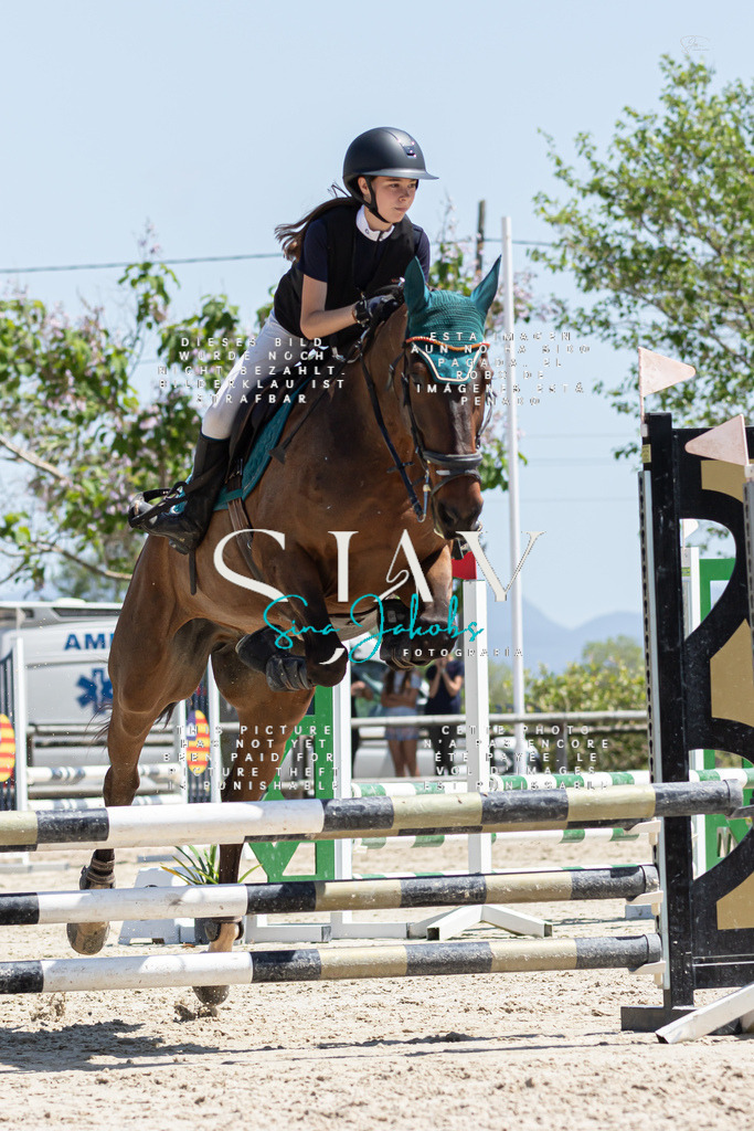 IMG_0497 | s-jay-photography - Realisiert mit Pictrs.com