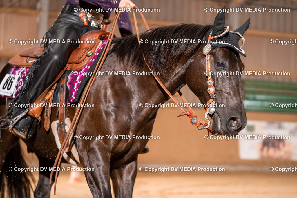 Losheim Tag 2-338 | dv-media-shop - Realisiert mit Pictrs.com