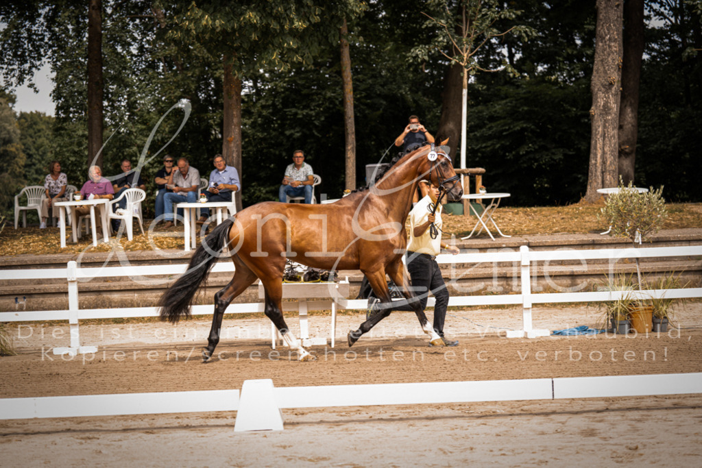 4.Fr00007 | Leoni Ertmer Photography - Realisiert mit Pictrs.com