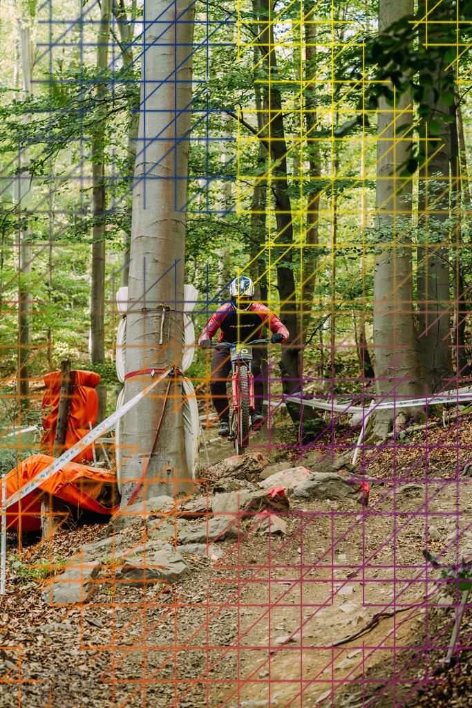 PAE-2479 | Einzigartige Fotokunst für dein Zuhause: Entdecke hochwertige Wandbilder, edle Prints und emotionale Motive von Wildlife, Natur und Landschaften - Realisiert mit Pictrs.com