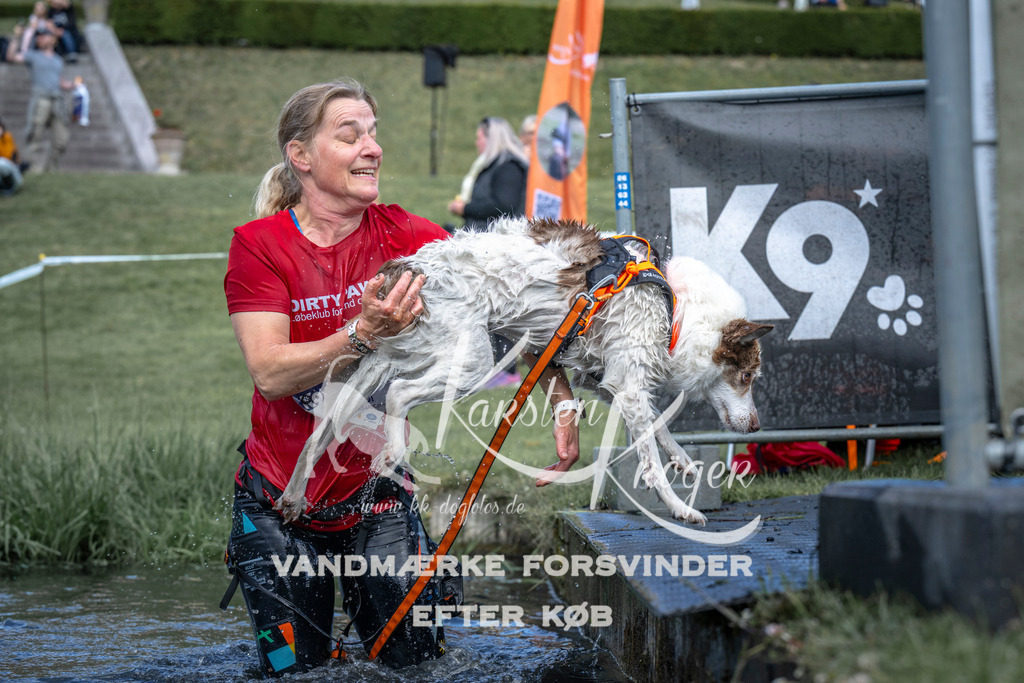 1100_ZZ90113 | kk-dogfotos