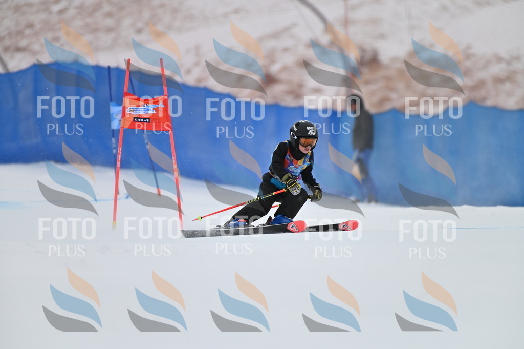 BGV_0149 | holidayphoto