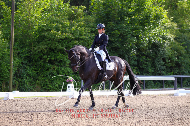 DKP41720 | Turnierfotos kaufen im Webshop von Daniel Kuhl Photography – entdecke professionelle Reitsportfotos aus Turnieren & Events. Hochwertige Turnierbilder online bestellen & sichern. Jetzt Fotos von Reitsportturnieren kaufen!