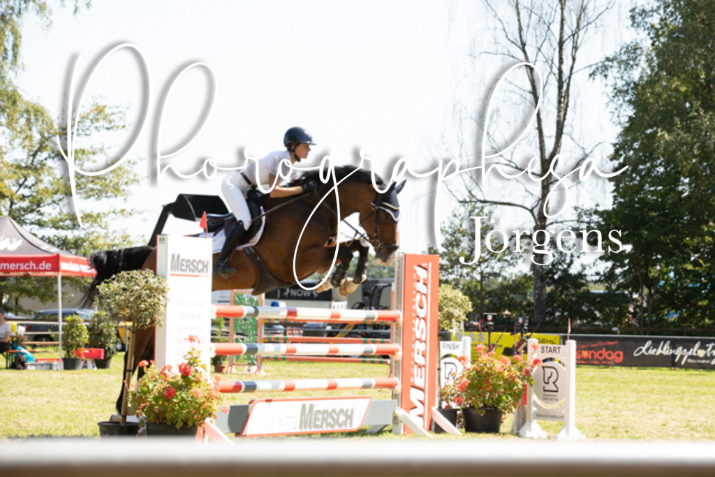 IMG_9157 | photographesa-joergens - Realisiert mit Pictrs.com