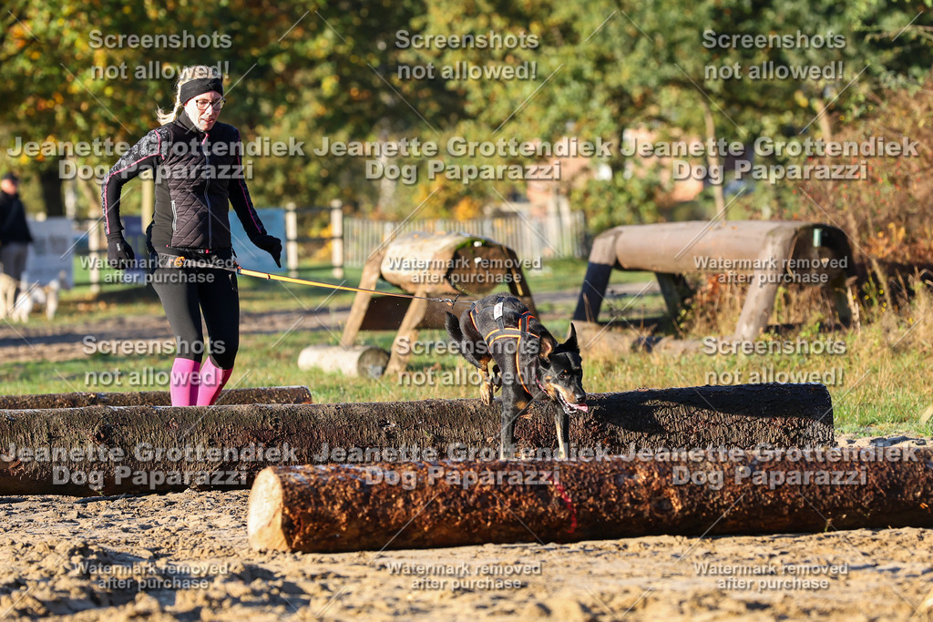 Dog Paparazzi - Strongdog 10-25-729 | Dog Paparazzi Jeanette Grottendiek Fotografie & Videografie - Realisiert mit Pictrs.com