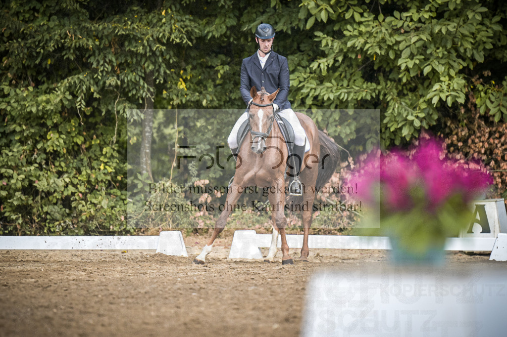DOS_0398 | Entdecke hochwertige Reitturnierfotos von Foto Oger. Professionell, emotional und authentisch – jetzt Lieblingsmomente im Shop bestellen.Deutschlandweite Turnierfotografie. - Realisiert mit Pictrs.com