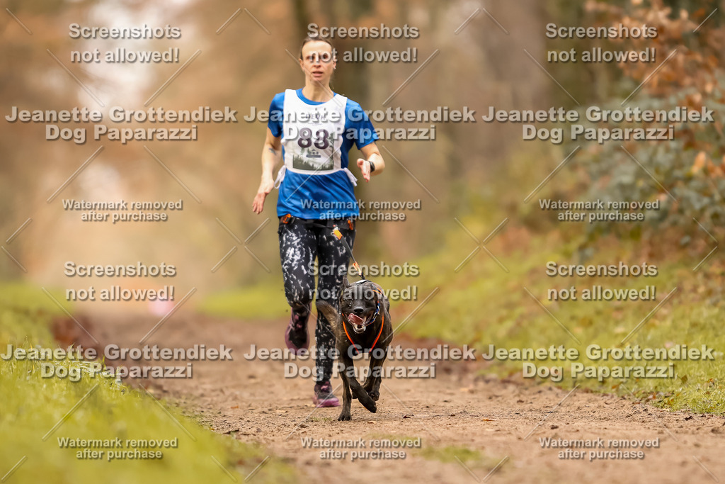 Dog Paparazzi - Speedhunter Mannheim  2025-246 | Dog Paparazzi Jeanette Grottendiek Fotografie & Videografie