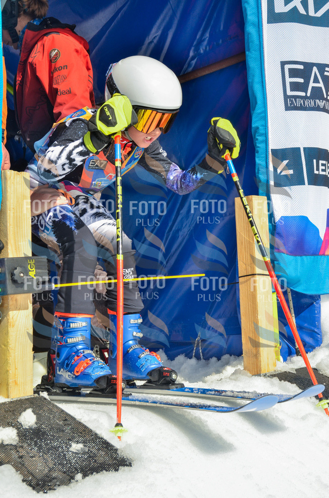 _ELE5766 | holidayphoto