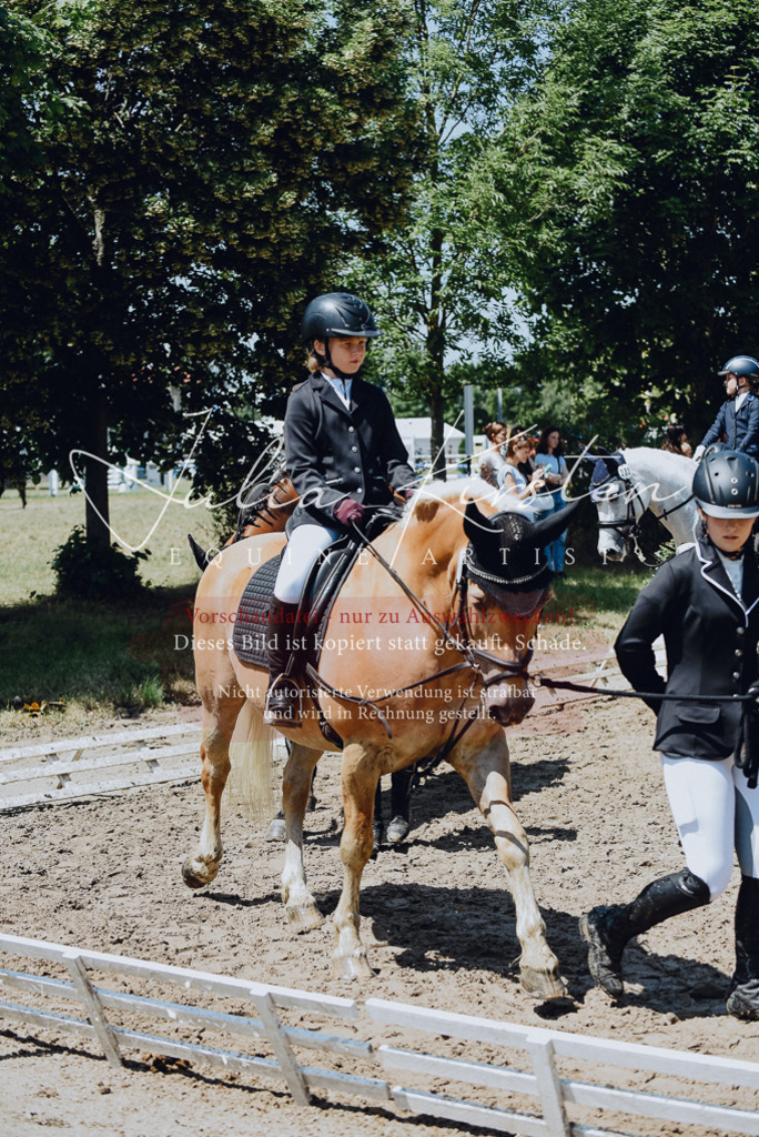 DSC_2163 | Pferde- und Turnierfotografie in Westsachsen. Pferdeportraits, Auftragszeichnungen und intuitive Kunst.