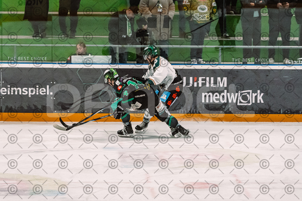 Alligators_vs_Erding_12_12_2025-080 | Höchstadt Alligators Fotogalerie: Eishockey-Action aus Franken. Professionelle Spielfotos, Portraits & Stadionbilder zum Download. Jetzt entdecken! - Realisiert mit Pictrs.com