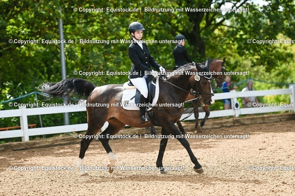 20230716_10-1_Reiter-WB Schritt - Trab - Galopp_0125 | equistock