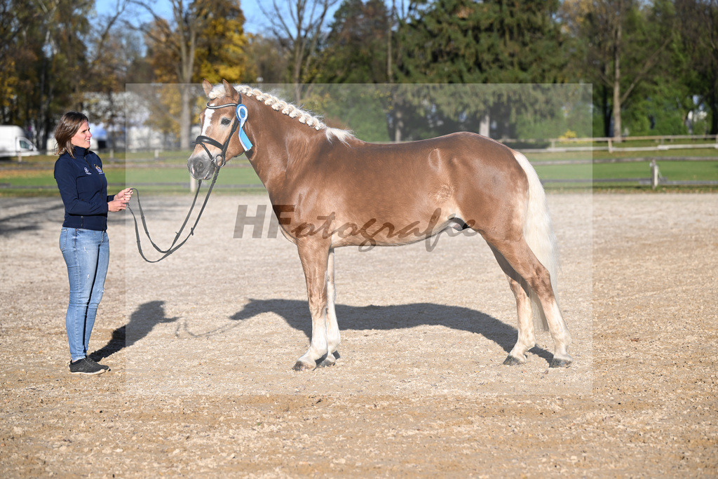 Kat-Nr. 5 Bonito-E v. Blitz-U_Gruber_43250867 | hf-fotografie - Realisiert mit Pictrs.com