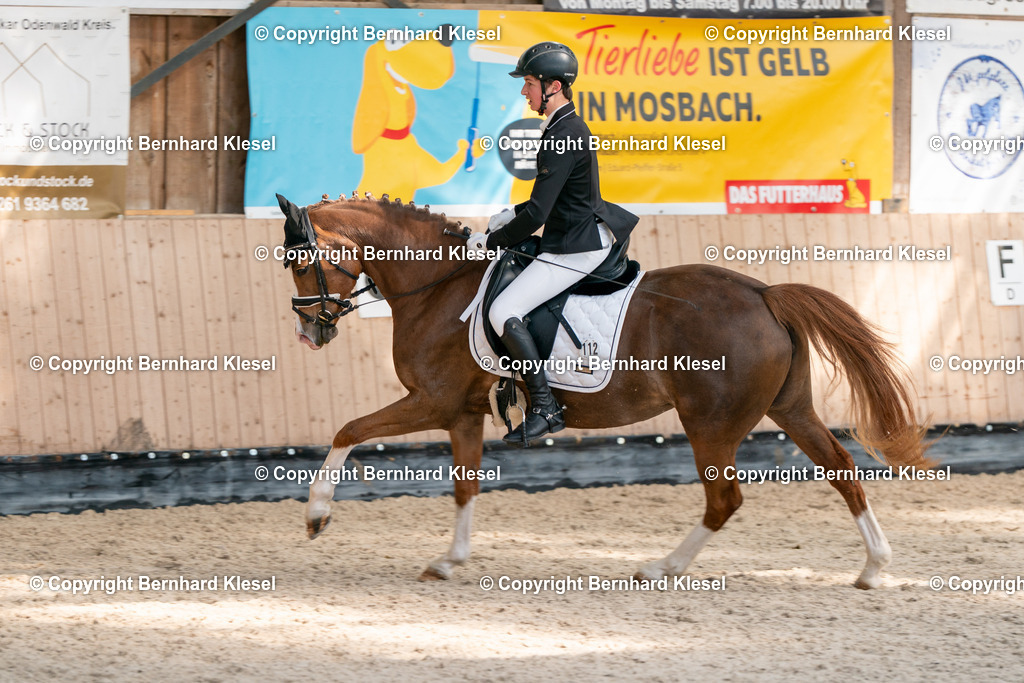2A900346 | foto-team-bernhard - Realisiert mit Pictrs.com