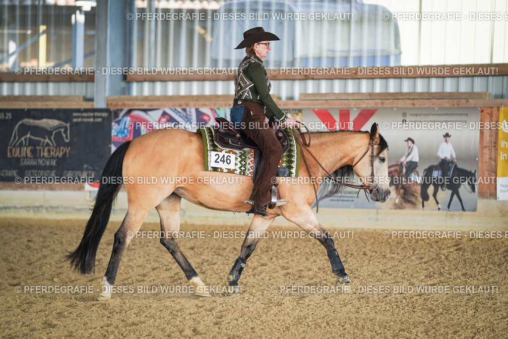 DSC08326 | Pferdegrafie