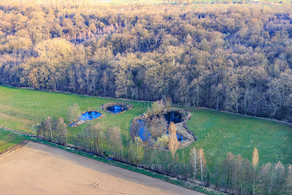 Luftbild: Biotop am Altbach im Winter im Ortsteil Minderslachen in Kandel im Bundesland Rheinland-Pfalz in Deutschland. Foto: IMG_076780.jpg vom 28.03.2015 durch Werner Riehm/FLY-FOTO.de