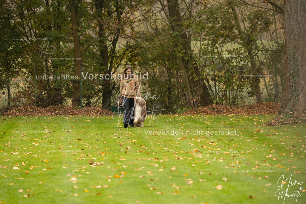 _16A0517 | Einzigartige Fotos von Hunden & Menschen –Actionfotos, Portraits, Vereinsaufnahmen & Paarshootings – authentisch, lebendig & mit Herz.