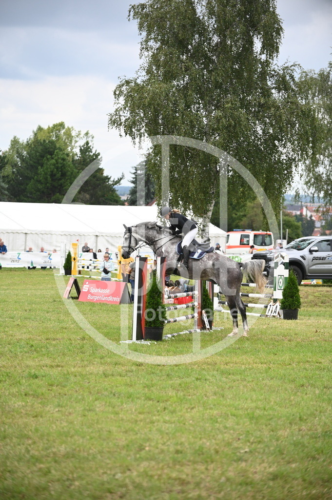 DSC_1225 | sattelsport - Realisiert mit Pictrs.com