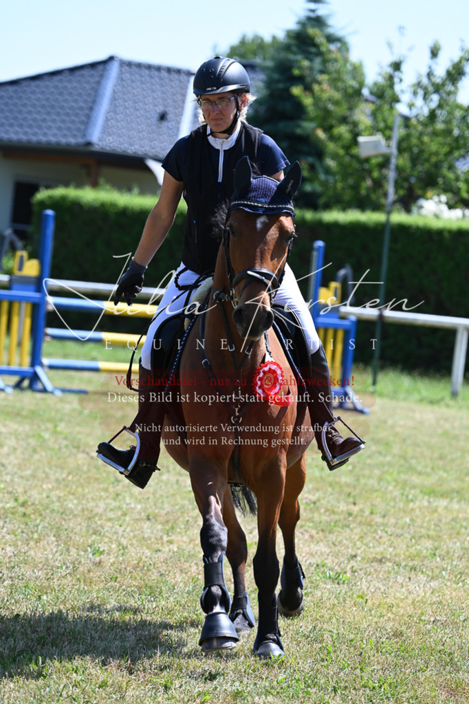 DSC_0908 | Pferde- und Turnierfotografie in Westsachsen. Pferdeportraits, Auftragszeichnungen und intuitive Kunst.