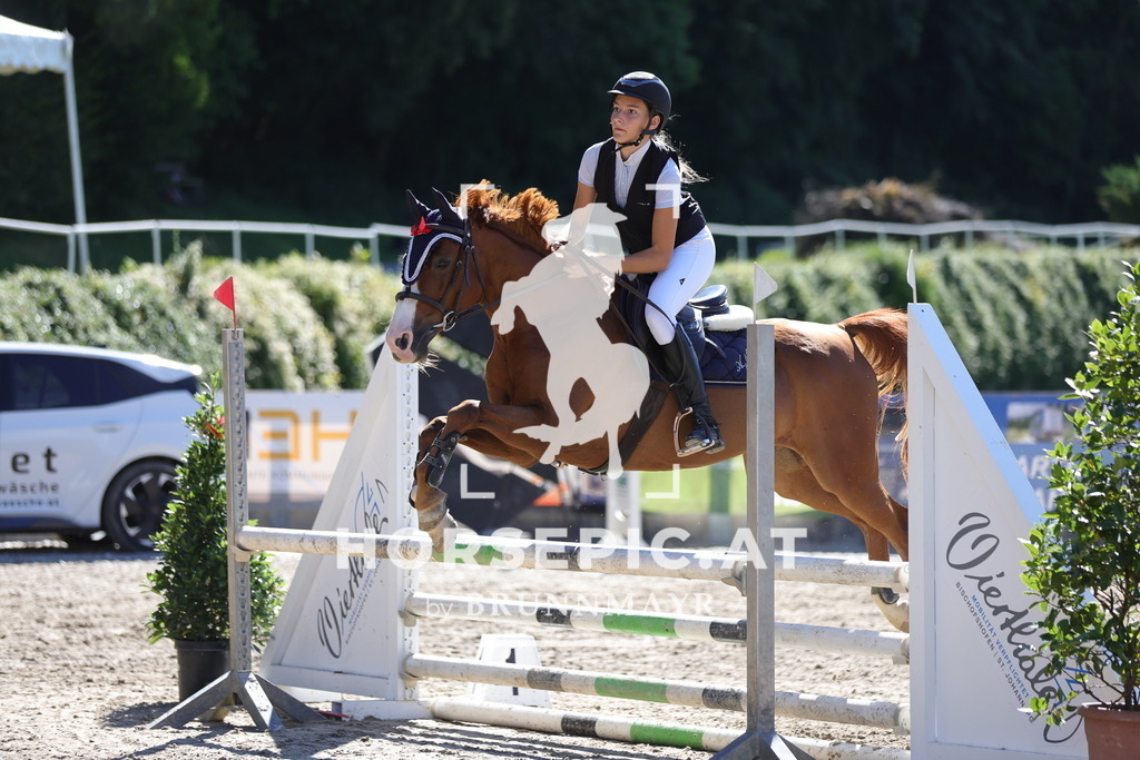 0P6A5196 | Willkommen bei Brunnmayr - Design & Fotografie – Ihrem Spezialisten für Reitturniere und Pferdeveranstaltungen in Oberösterreich, Salzburg und Bayern! Seit über 17 Jahren sind wir leidenschaftlich dabei.