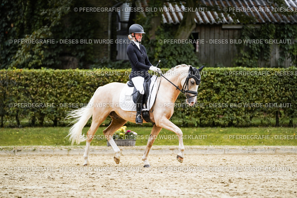 DSC02054 | Pferdegrafie