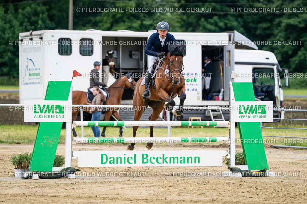 DSC05041 | Pferdegrafie