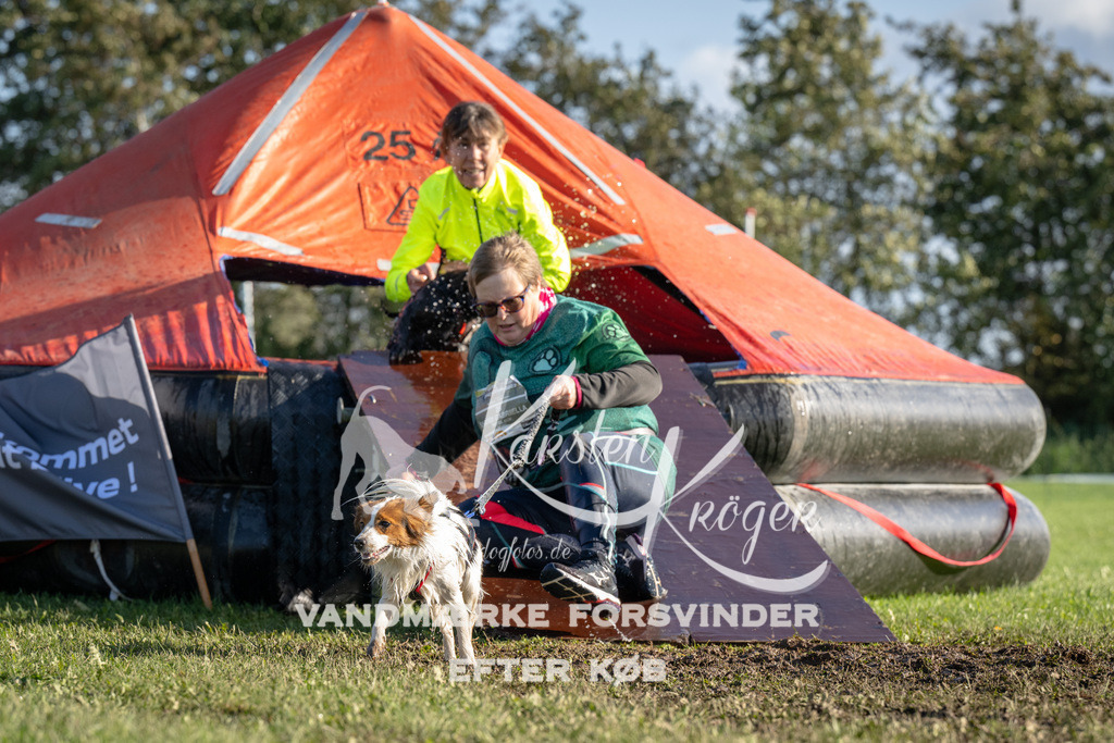 1446-94971 | kk-dogfotos