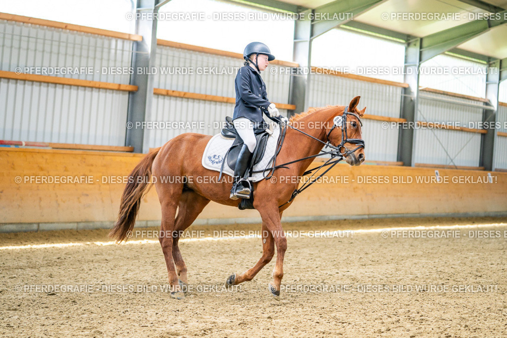 DSC03342 | Pferdegrafie