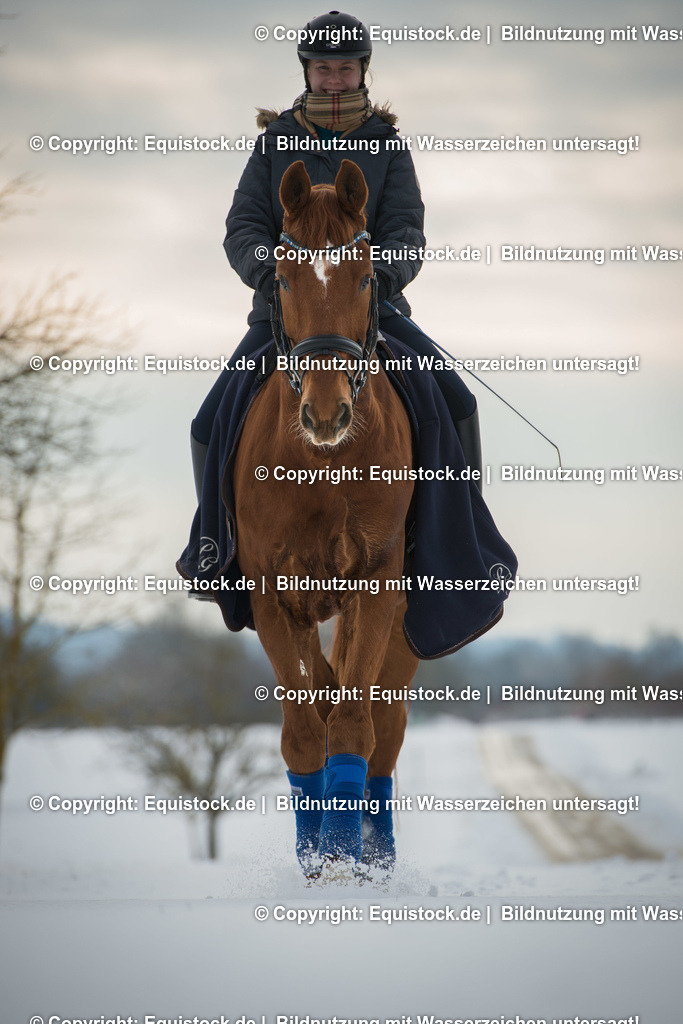20160116_Reiterin_im_Schnee_0002 1 | equistock