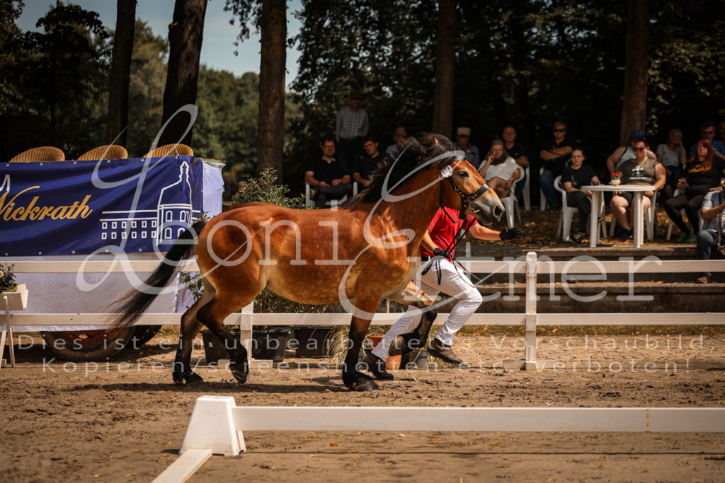 2.Sa00012 | Leoni Ertmer Photography - Realisiert mit Pictrs.com