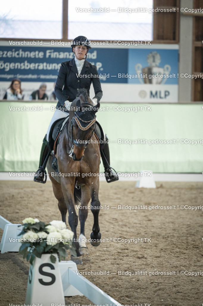 _D5A3475 | Emotionale Pferde- & People-Fotografie rund um Heidelberg, Leimen & Umgebung. Natürliche Fotos von Pferd, Mensch & Familie. Jetzt Termin sichern!