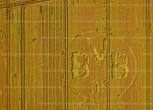 Dortmund230701954 | Luftbild, Symbole und Zeichen in einem Feld, BVB Logo, Bönninghauser Straße, Hostedde, Dortmund, Ruhrgebiet, Nordrhein-Westfalen, Deutschland