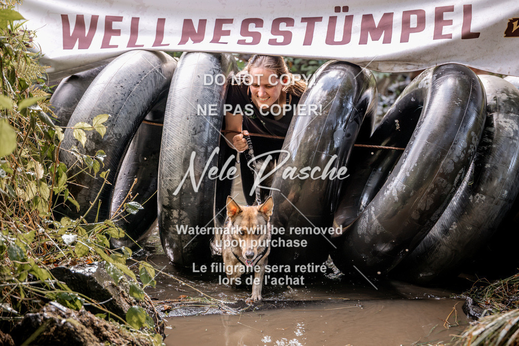 nelerasche_Hunsrück2026_Sa1400-1500_263 | nelerasche