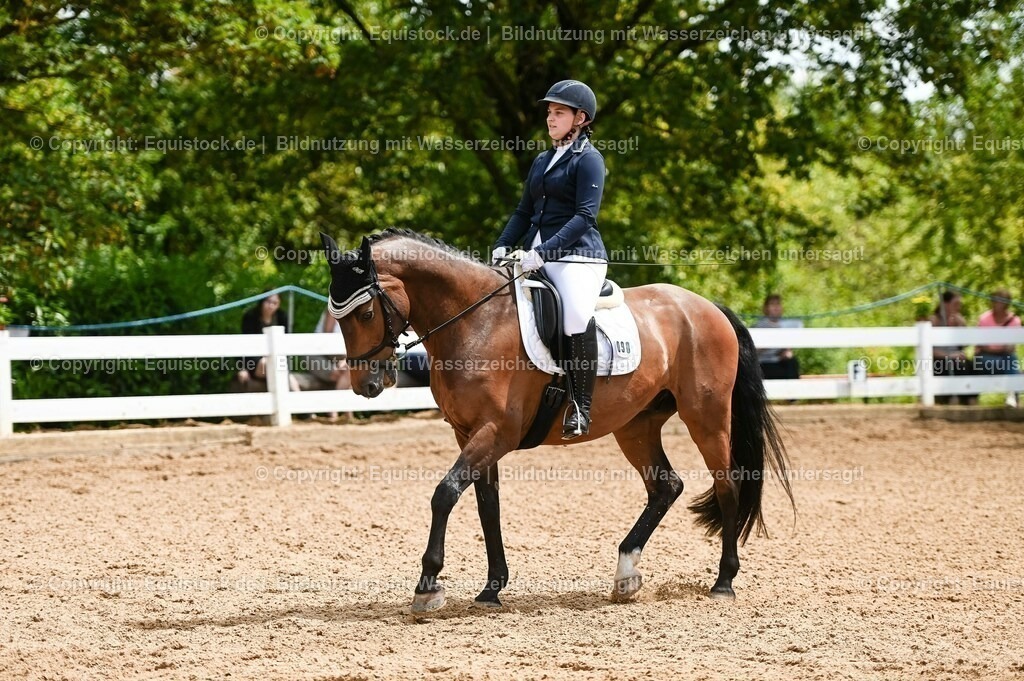 20230716_03_Dressurprfg. Kl.L - Tr._0653 | equistock