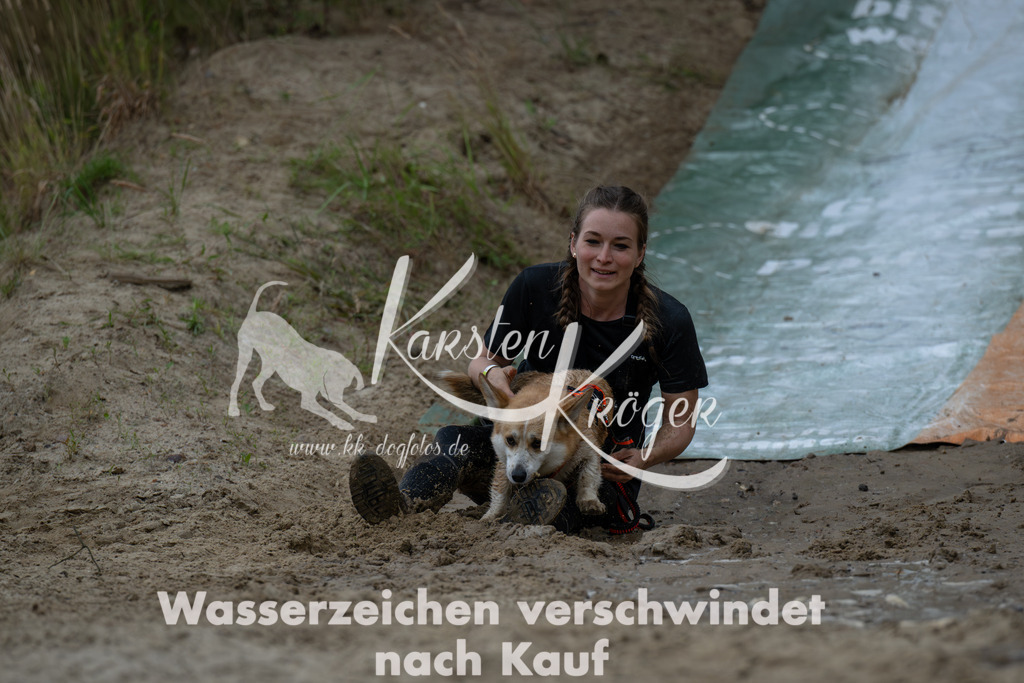 0936_ZZ91035-Verbessert-RR | kk-dogfotos