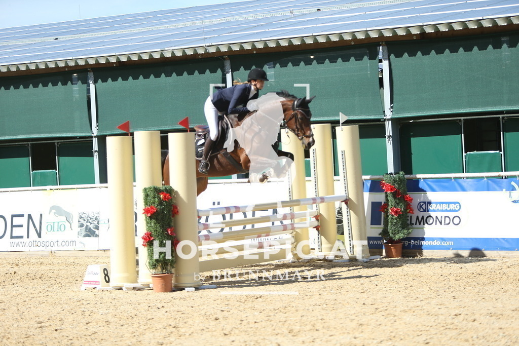 DL2Q2390 | Willkommen bei Brunnmayr - Design & Fotografie – Ihrem Spezialisten für Reitturniere und Pferdeveranstaltungen in Oberösterreich, Salzburg und Bayern! Seit über 17 Jahren sind wir leidenschaftlich dabei.