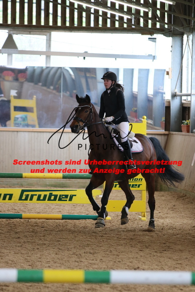 IMG_5392 | lmwpictures - Realisiert mit Pictrs.com