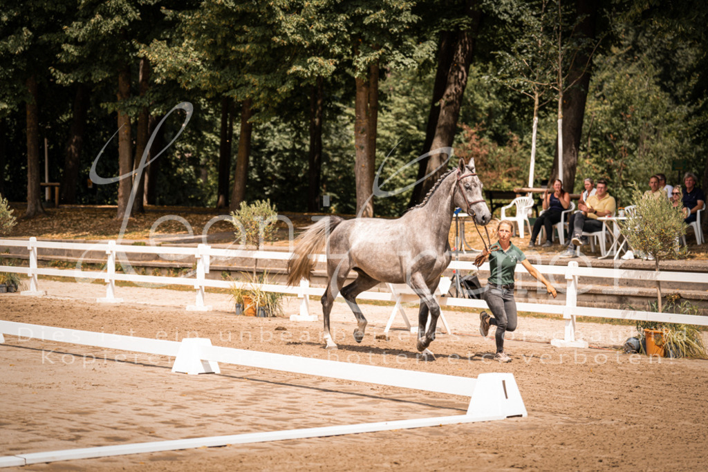 1.Fr00178 | Leoni Ertmer Photography - Realisiert mit Pictrs.com