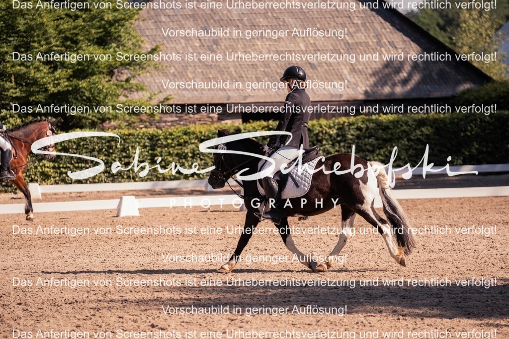 2025_05_31_DSCF2897 | People- und Tierfotografie, Imageaufnahmen, Veranstaltungsfotografie und Wandbilder aus der Natur ★ Made in Germany ✔️ Druck + Downloads ✔️ Naturfotografie in Top Qualität ★ schneller Versand, weltweite Lieferung! - Realisiert mit Pictrs.com