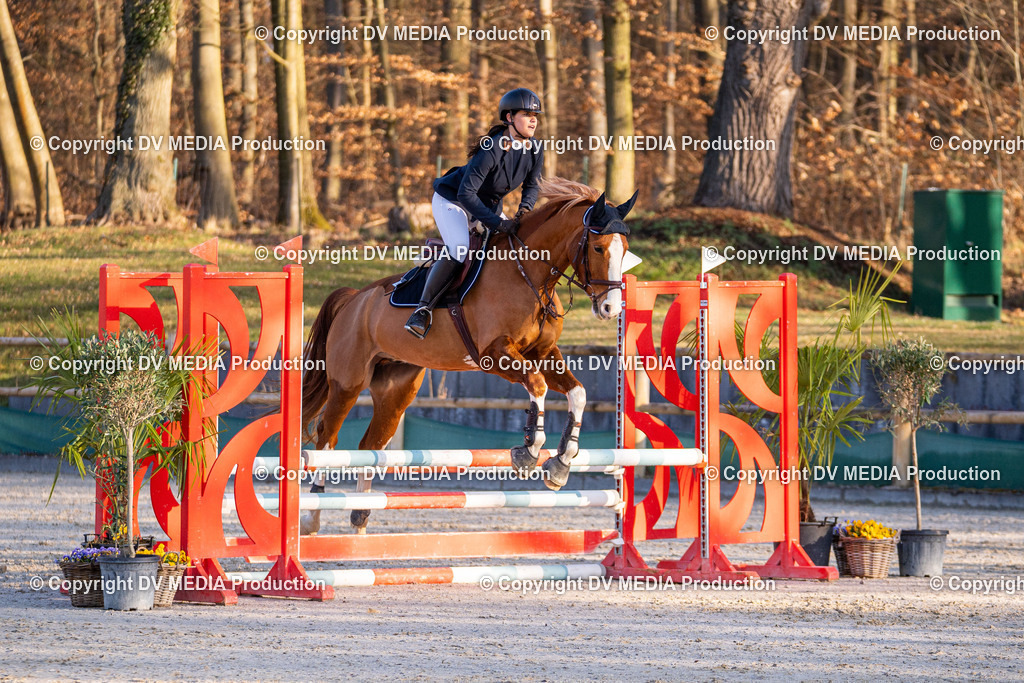 Kranichstein Tag 1-102 | dv-media-shop - Realisiert mit Pictrs.com